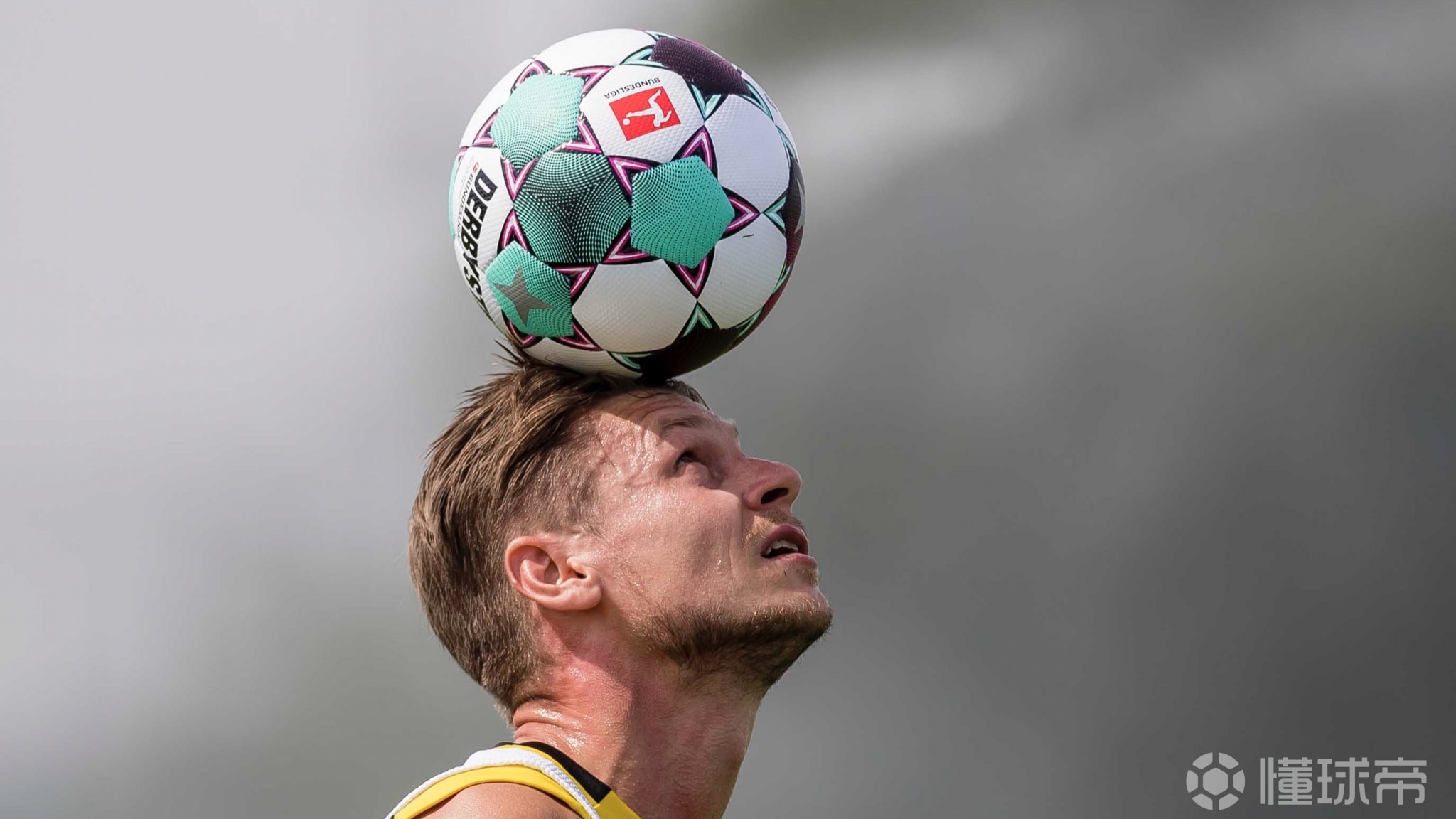 德国杯倒计时，奥兰多魔术赛后伤情更新，细节引发关注，赛场秩序良好，细节决定成败(上海到美国奥兰多机票)